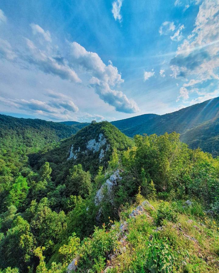 Restoran Sa Prenocistem Gornjak Krepoljin Exteriör bild
