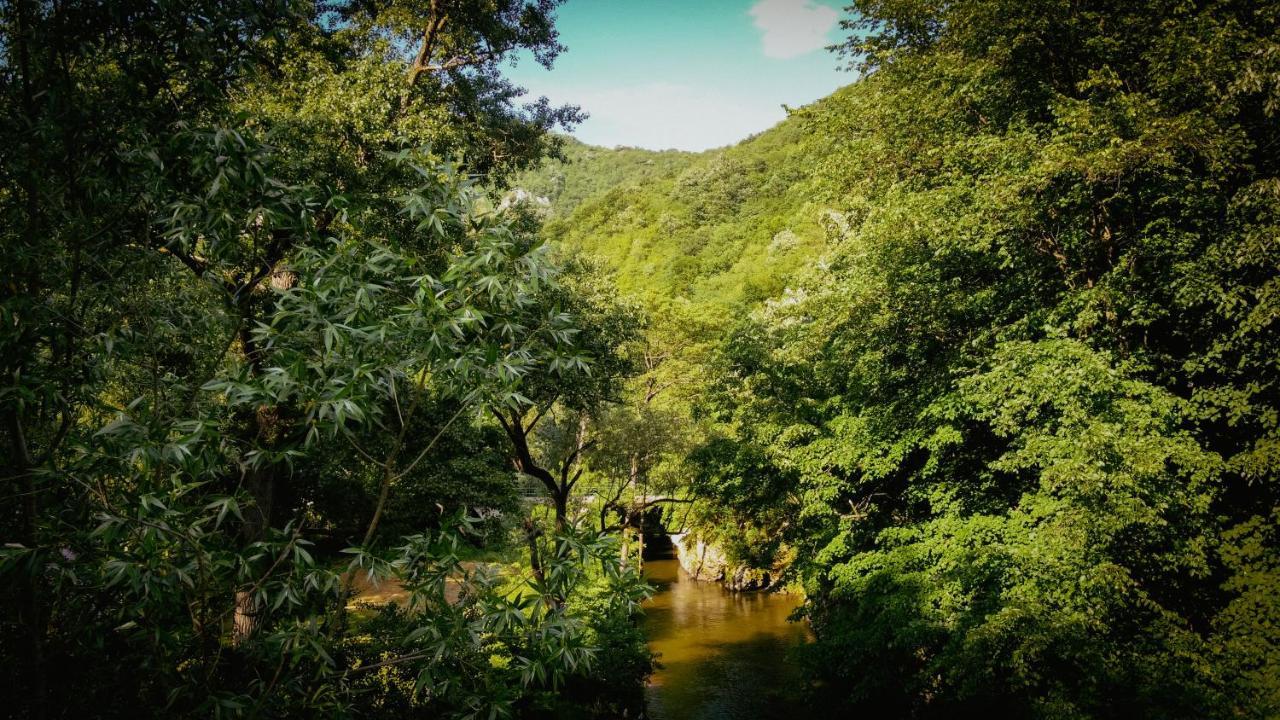 Restoran Sa Prenocistem Gornjak Krepoljin Exteriör bild